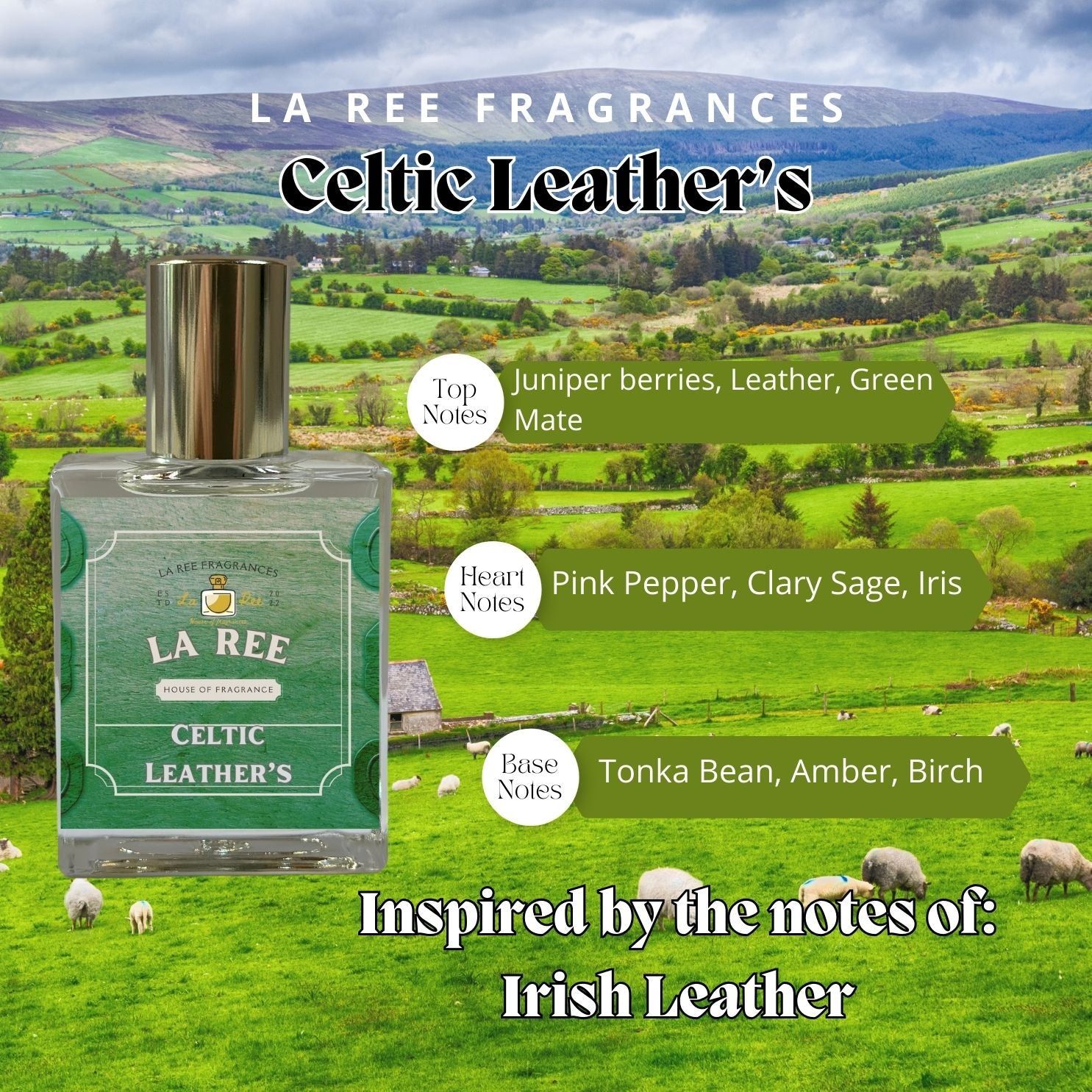 La Ree Celtic Leather's inspired by Memo Paris® Irish Leather