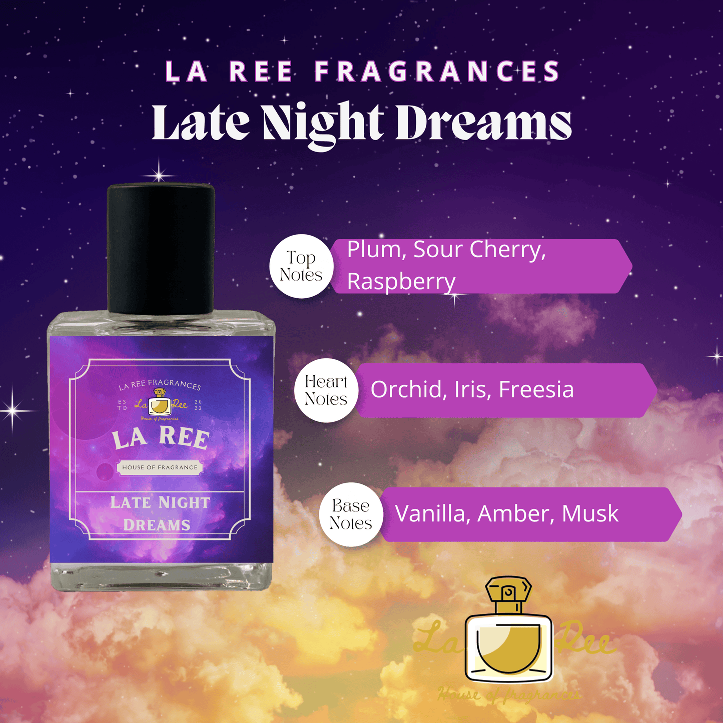 Late Night Dreams
