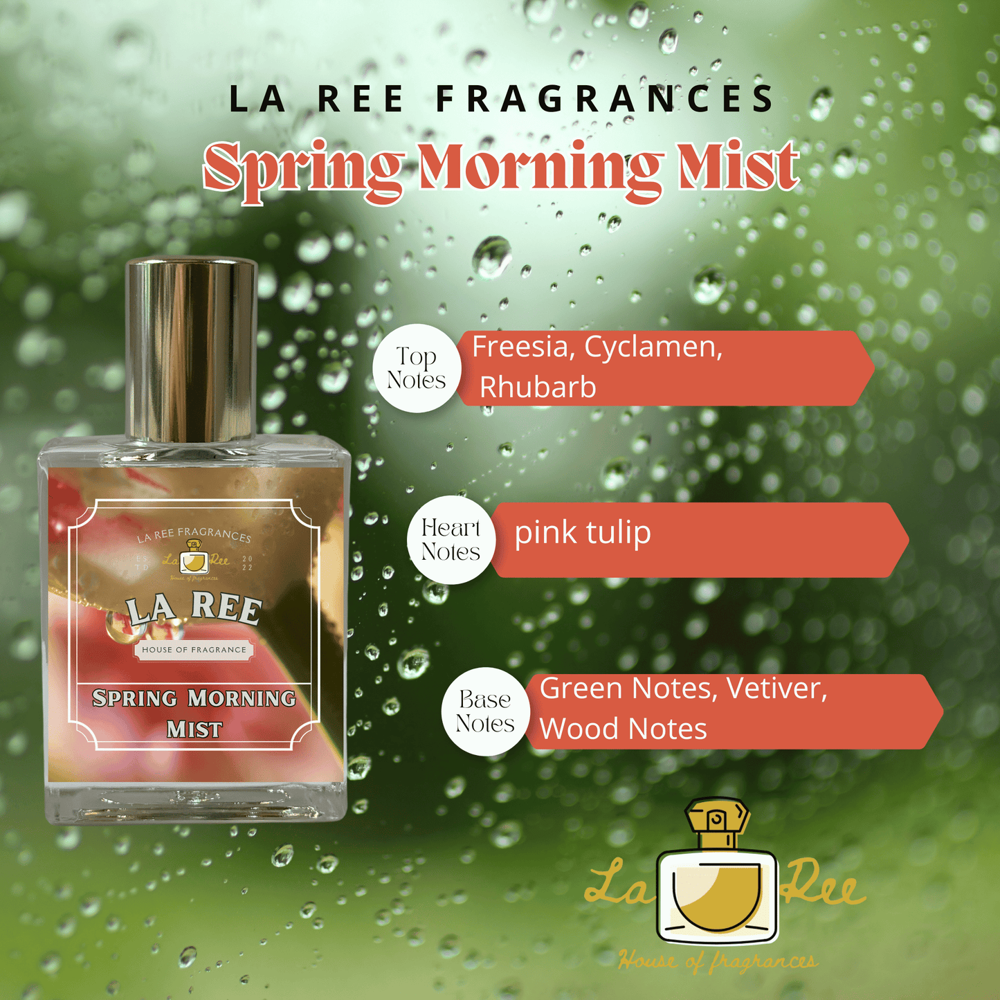 Spring Morning Mist